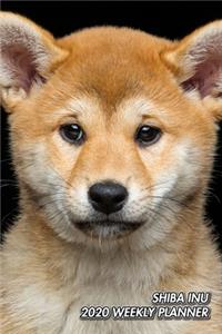 Shiba Inu 2020 Weekly Planner