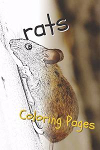 Rat Coloring Pages