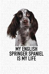 My English Springer Spaniel Is My Life