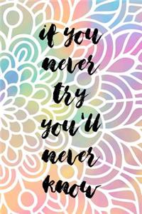 If You Never Try You'll Never Know