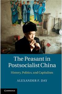 Peasant in Postsocialist China