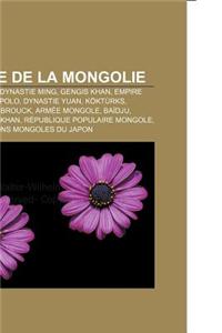 Histoire de La Mongolie: Tibet Durant La Dynastie Ming, Gengis Khan, Empire Mongol, Marco Polo, Dynastie Yuan, Kokturks, Guillaume de Rubrouck