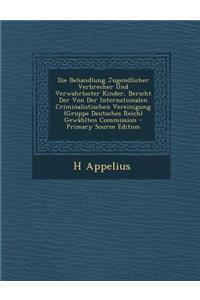 Die Behandlung Jugendlicher Verbrecher Und Verwahrloster Kinder, Bericht Der Von Der Internationalen Criminalistischen Vereinigung (Gruppe Deutsches Reich) Gewahlten Commission