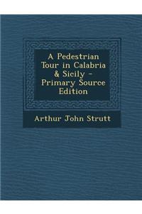 A Pedestrian Tour in Calabria & Sicily