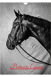 Portraits Equins 2017