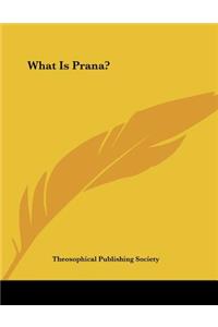 What Is Prana?