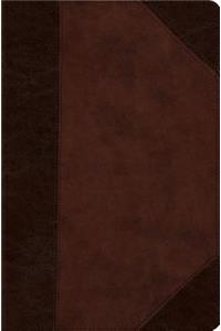 ESV Compact Bible (Trutone, Brown/Walnut, Portfolio Design)