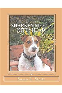 Sharkey Meets Kittyhead