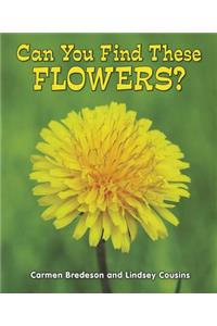 Can You Find These Flowers?