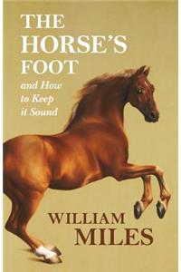 Horse's Foot and How to Keep it Sound