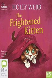 The Frightened Kitten