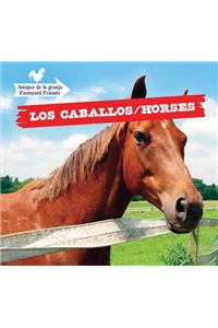 Los Caballos / Horses