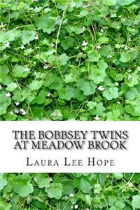 Bobbsey Twins at Meadow Brook