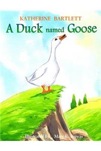 Duck Named Goose