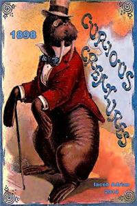 Curious creatures 1898
