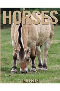Horses