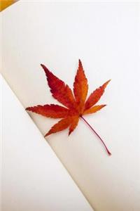 Autumn Leaf Journal