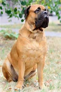 Bullmastiff