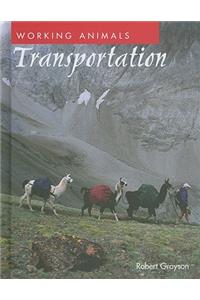 Transportation