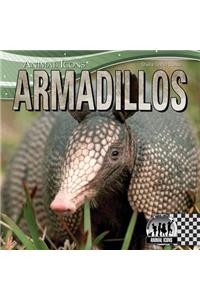 Armadillos
