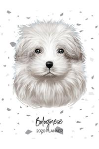 Bolognese 2020 Planner