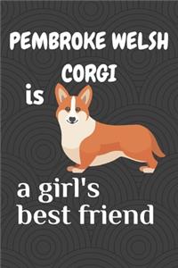 Pembroke Welsh Corgi is a girl's best friend: For Pembroke Welsh Corgi Dog Fans