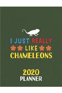 I Just Really Like Chameleons 2020 Planner