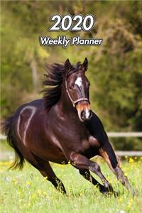 2020 Weekly Planner