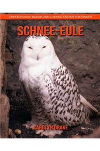 Schnee-Eule