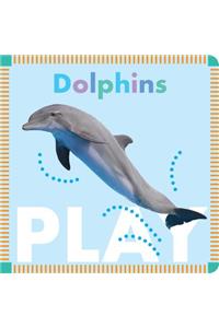 Dolphins Play