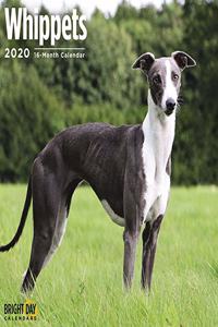 WHIPPETS WALL CALENDAR 2020
