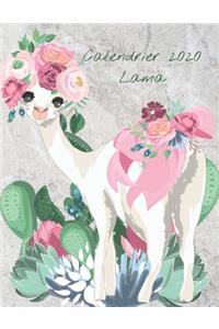 Calendrier 2020 Lama