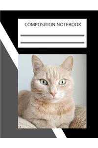 Composition Notebook, Notebooks are important