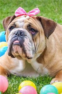 English Bulldog with a Pink Bow Journal