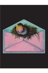 Bird Journal Bird Composition Notebook