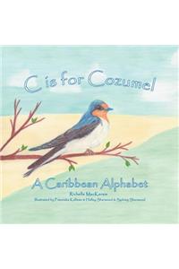 C Is for Cozumel