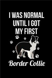 I Was Normal Until I Got My First Border Collie