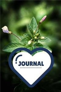 Journal: CBD Journal