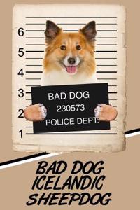 Bad Dog Icelandic Sheepdog