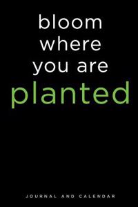 Bloom Where You Are Planted