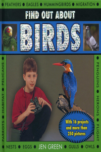 Find Out about Birds