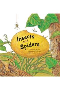 Insects and Spiders