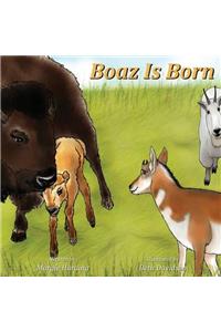 Boaz Is Born