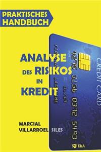 Praktisches Handbuch Analyse Des Risikos in Kredit