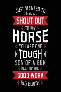 Just Wanted To Give A Shout Out To My Horse You Are One Tough Son Of A Gun Keep Up The Good Work Big Buddy