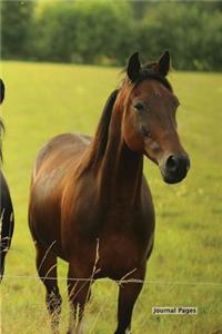 Journal Pages - Horse Design (Bullet Journal)