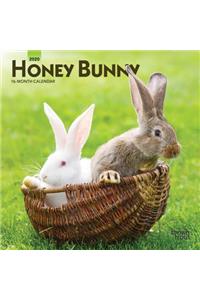 Honey Bunny 2020 Mini 7x7