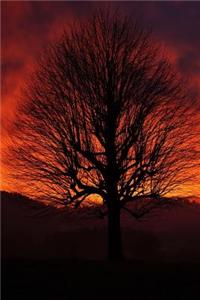 A Stunning Sunset and a Solitary Tree Journal