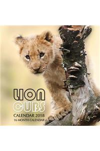 Lion Cubs Calendar 2018