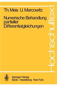 Numerische Behandlung Partieller Differentialgleichungen